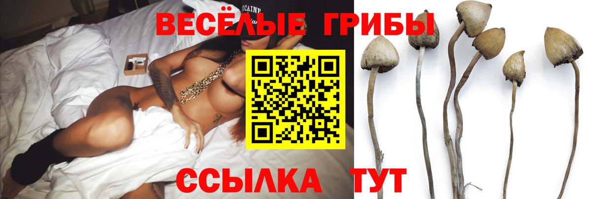 Галлюциногенные грибы мухоморы  Галлюциногенные грибы ЛСД  наркошоп  Миасс  Вход с VPN 